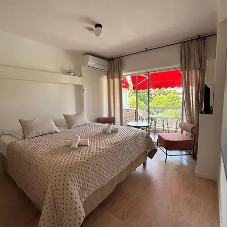 Au California Palace * Cannes